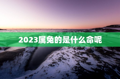2025属兔的是什么命呢