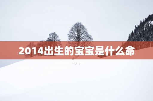 2014出生的宝宝是什么命