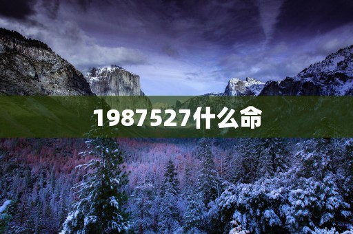1987527什么命