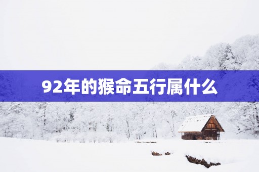 92年的猴命五行属什么
