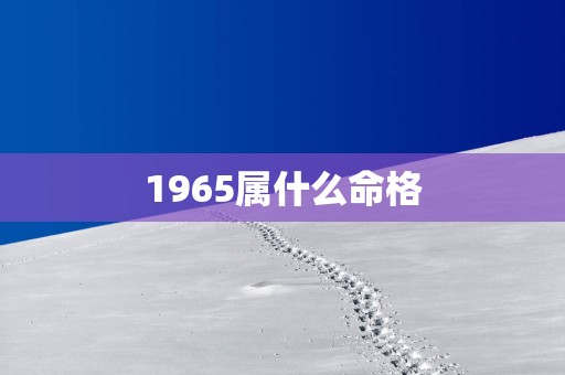 1965属什么命格