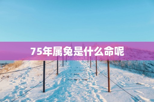 75年属兔是什么命呢