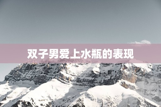 双子男爱上水瓶的表现