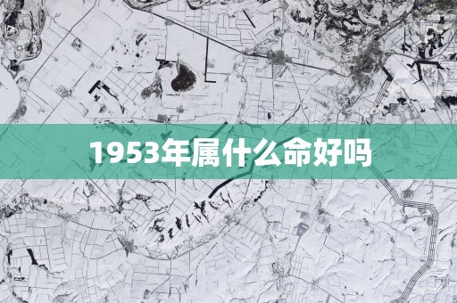 1953年属什么命好吗