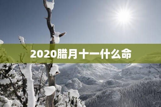 2025腊月十一什么命