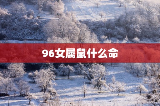 96女属鼠什么命