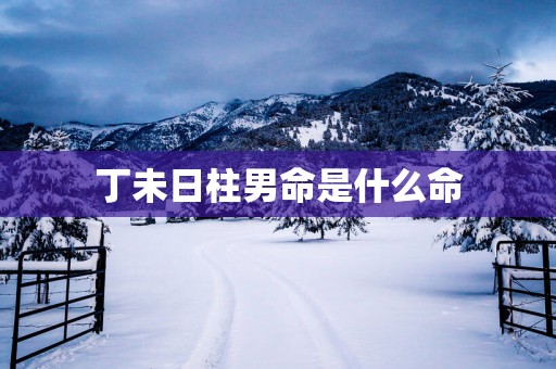 丁未日柱男命是什么命