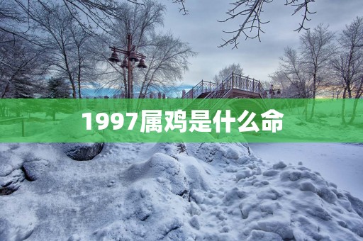1997属鸡是什么命