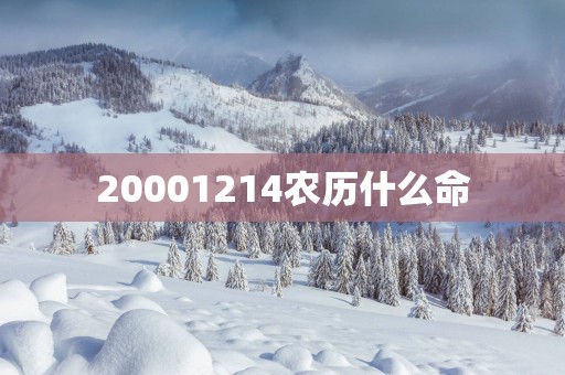 20001214农历什么命