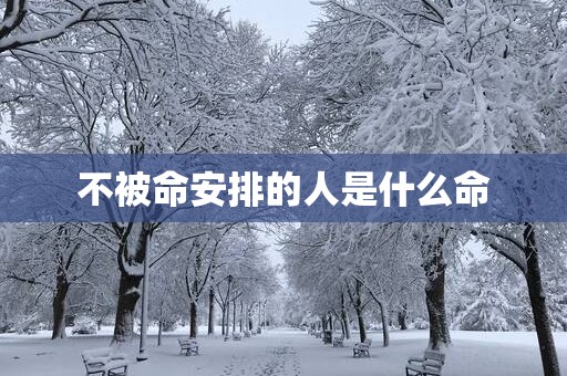 不被命安排的人是什么命