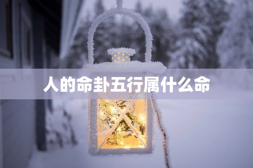 人的命卦五行属什么命