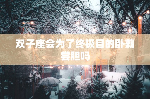 双子座会为了终极目的卧薪尝胆吗