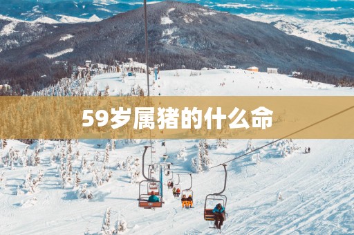 59岁属猪的什么命