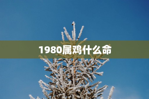 1980属鸡什么命