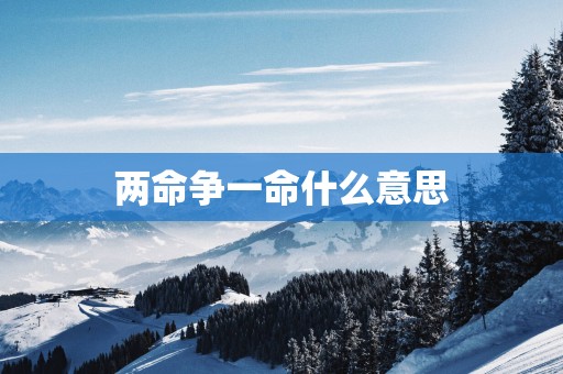 两命争一命什么意思