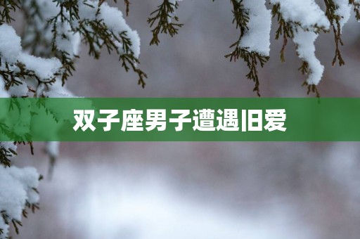 双子座男子遭遇旧爱