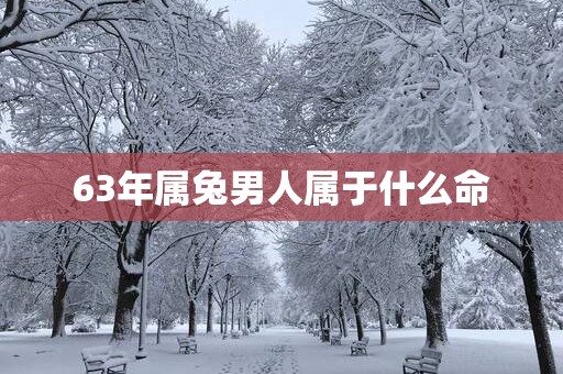 63年属兔男人属于什么命