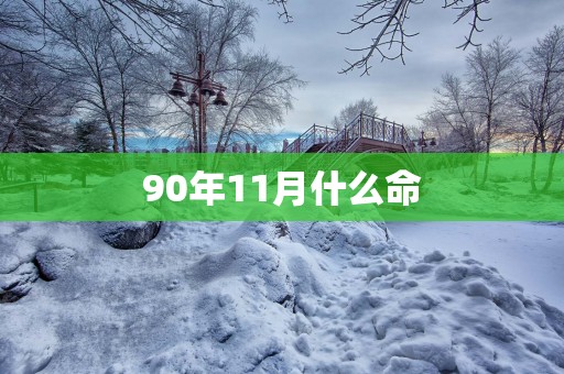 90年11月什么命