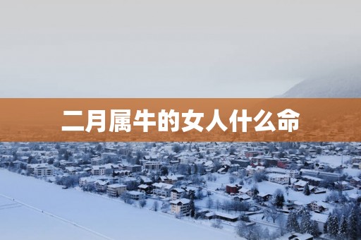 二月属牛的女人什么命