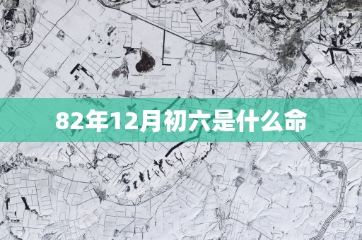 82年12月初六是什么命