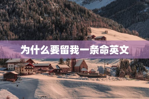为什么要留我一条命英文