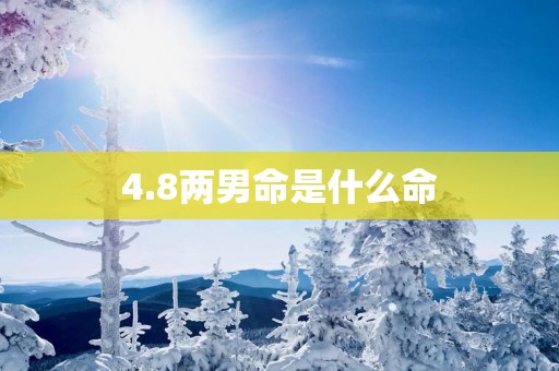 4.8两男命是什么命