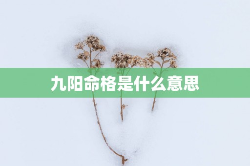 九阳命格是什么意思