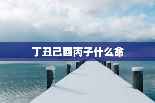 丁丑己酉丙子什么命