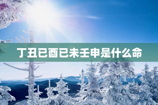 丁丑已酉已未壬申是什么命