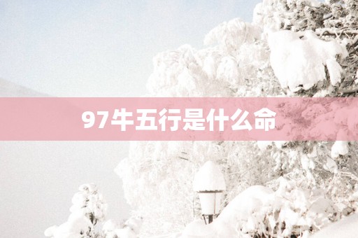 97牛五行是什么命