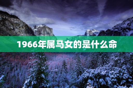 1966年属马女的是什么命