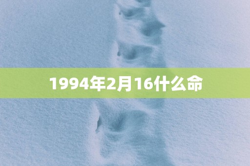 1994年2月16什么命