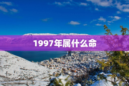 1997年属什么命