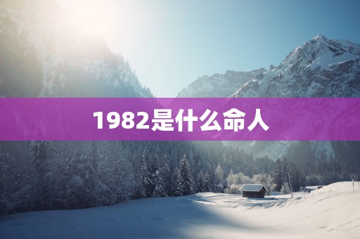 1982是什么命人
