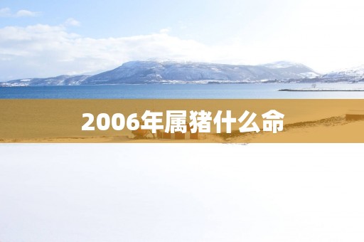 2006年属猪什么命