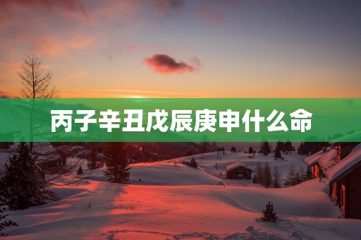丙子辛丑戊辰庚申什么命
