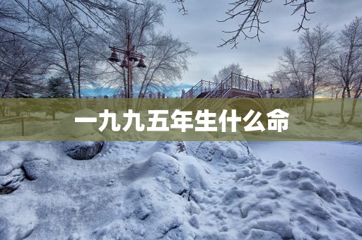 一九九五年生什么命