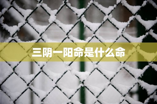 三阴一阳命是什么命