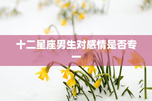 十二星座男生对感情是否专一