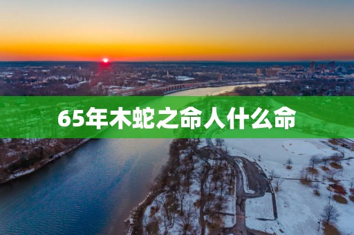 65年木蛇之命人什么命