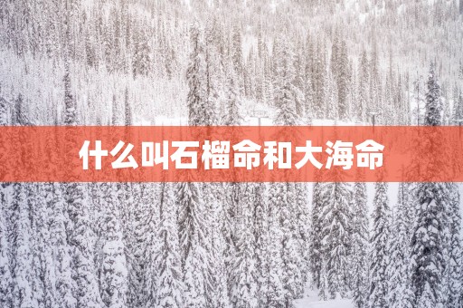 什么叫石榴命和大海命