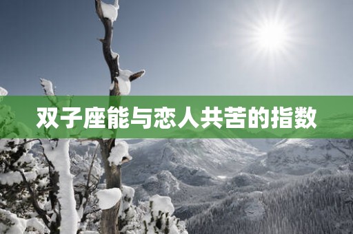 双子座能与恋人共苦的指数