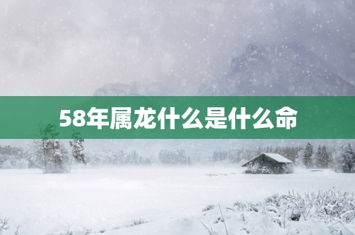 58年属龙什么是什么命
