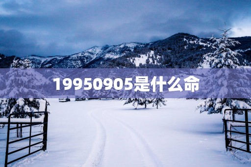 19950905是什么命