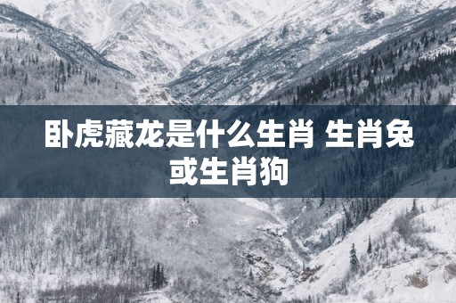 卧虎藏龙是什么生肖 生肖兔或生肖狗
