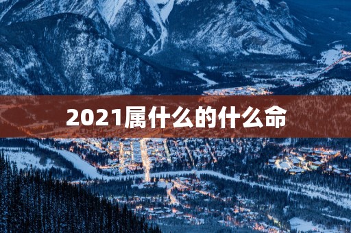 2025属什么的什么命