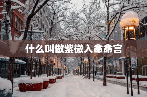 什么叫做紫微入命命宫