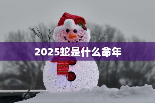 2025蛇是什么命年