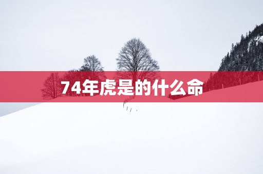 74年虎是的什么命