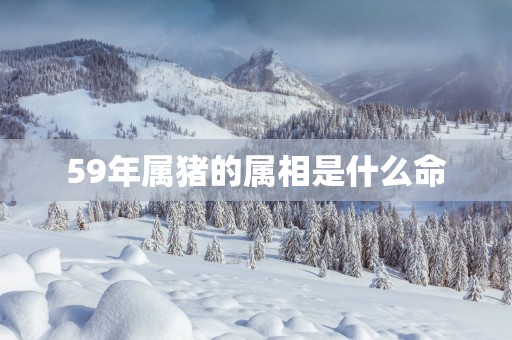 59年属猪的属相是什么命